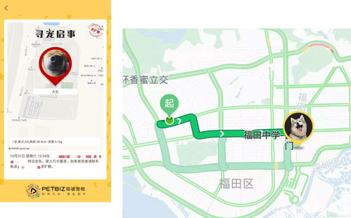 浪潮產品獎 陪彼寵物定位器，為愛寵安全護航的智能伴侶