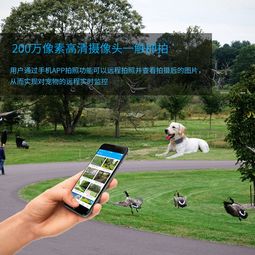 樹懶型寵物GPS定位器深度評測 防摔防水，守護你的慢節奏伙伴