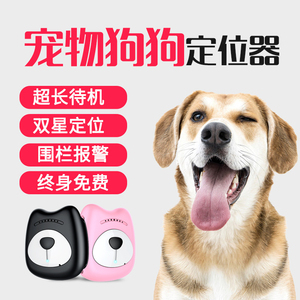 守護(hù)愛(ài)寵的安全 寵物定位項(xiàng)圈與定位器的實(shí)用指南